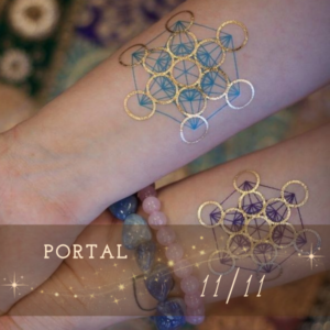 Portal 11/11